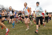 Crosslauf / Österreichische Staatsmeisterschaften / Innsbruck