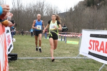 Crosslauf / Österreichische Staatsmeisterschaften / Innsbruck