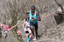 Crosslauf / Österreichische Staatsmeisterschaften / Innsbruck