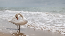 Lido di Jesolo, Venedig, Italien