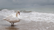 Lido di Jesolo, Venedig, Italien