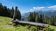 Almbrunnen / Patscherkofel, Igls, Innsbruck, Tirol, Austria