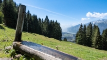 Almbrunnen / Patscherkofel, Igls, Innsbruck, Tirol, Austria