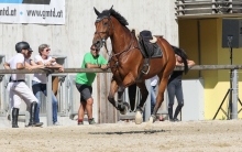 Tiroler Meisterschaft im Springreiten / Igls, Innsbruck