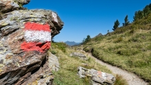 Patscherkofel / Wegmarkierung rot weiss rot / Tirol, Austria