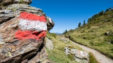 Patscherkofel / Wegmarkierung rot weiss rot / Tirol, Austria
