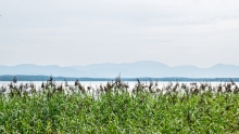 Starnberger See, Bayern, Deutschland