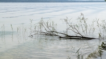 Starnberger See, Bayern, Deutschland