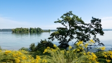 Starnberger See, Roseninsel, Bayern, Deutschland