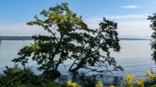 Starnberger See, Bayern, Deutschland