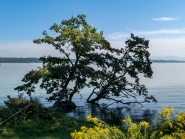 Starnberger See, Bayern, Deutschland