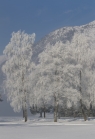 Achensee Tourismus