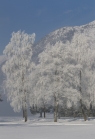 Achensee Tourismus