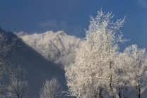 Achensee Tourismus