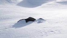 Stubaier Gletscher, Stubaital, Tirol, Austria