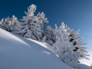 Winterlandschaft am Patscherkofel, Tirol, Austria