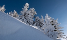 Winterlandschaft am Patscherkofel, Tirol, Austria