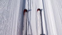 Stubaier Gletscher, Tirol, Austria / Ski, Skier in der Liftspur