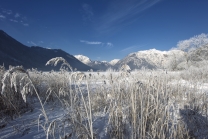 Achensee Tourismus