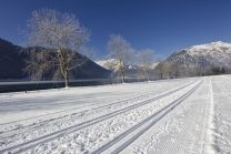 Achensee Tourismus / Maurach/Buchau 