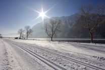 Achensee Tourismus / Maurach/Buchau