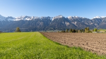 Wiese, Acker in Aldrans, Tirol, Austria