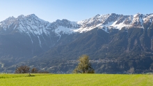 Wiese in Aldrans, Tirol, Austria