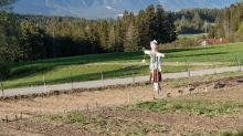 Vogelscheuche / Sistrans, Tirol, Austria