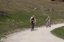 Mountainbiker / Arzler Alm, Nordkette, Innsbruck, Tirol, Austria