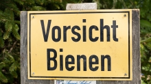 Hinweisschild: Vorsicht Bienen / Patscherkofel, Tirol, Austria