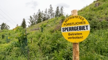 forstliches Sperrgebiet / Lanser Kopf, Paschberg, Lans, Tirol, Austria