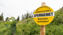 forstliches Sperrgebiet / Lanser Kopf, Paschberg, Lans, Tirol, Austria