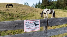 Pferdeweide / Pferde bitte nicht füttern