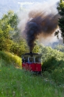 Achenseebahn zwischen Jenbach und Maurach Seespitz, Tirol, Austria