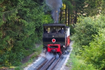 Achenseebahn zwischen Jenbach und Maurach Seespitz, Tirol, Austria