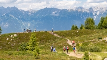 Zirbenweg, Patscherkofel, Tirol, Austria