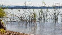 Erholungsgebiet Ambach, Starnberger See, Bayern, Deutschland