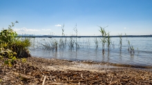 Erholungsgebiet Ambach, Starnberger See, Bayern, Deutschland