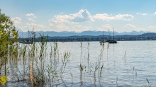 Erholungsgebiet Ambach, Starnberger See, Bayern, Deutschland