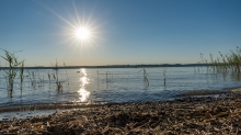 Erholungsgebiet Ambach, Starnberger See, Bayern, Deutschland