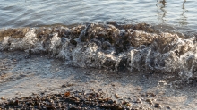 Seeufer / Erholungsgebiet Ambach, Starnberger See, Bayern, Deutschland