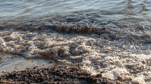 Seeufer / Erholungsgebiet Ambach, Starnberger See, Bayern, Deutschland