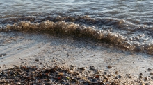 Seeufer / Erholungsgebiet Ambach, Starnberger See, Bayern, Deutschland