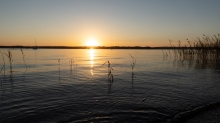 Erholungsgebiet Ambach, Starnberger See, Bayern, Deutschland