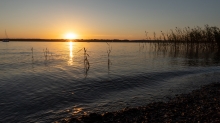 Erholungsgebiet Ambach, Starnberger See, Bayern, Deutschland