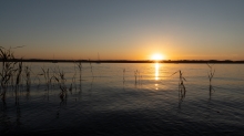 Erholungsgebiet Ambach, Starnberger See, Bayern, Deutschland