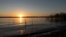 Erholungsgebiet Ambach, Starnberger See, Bayern, Deutschland