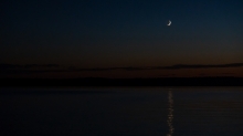 Abendstimmung / Erholungsgebiet Ambach, Starnberger See, Bayern, Deutschland