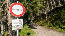 Forststeraße / Patscherkofel, Tirol, Austria