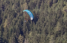 Paragleiter, Gleitschirm / Fulpmes, Stubaital, Tirol, Austria